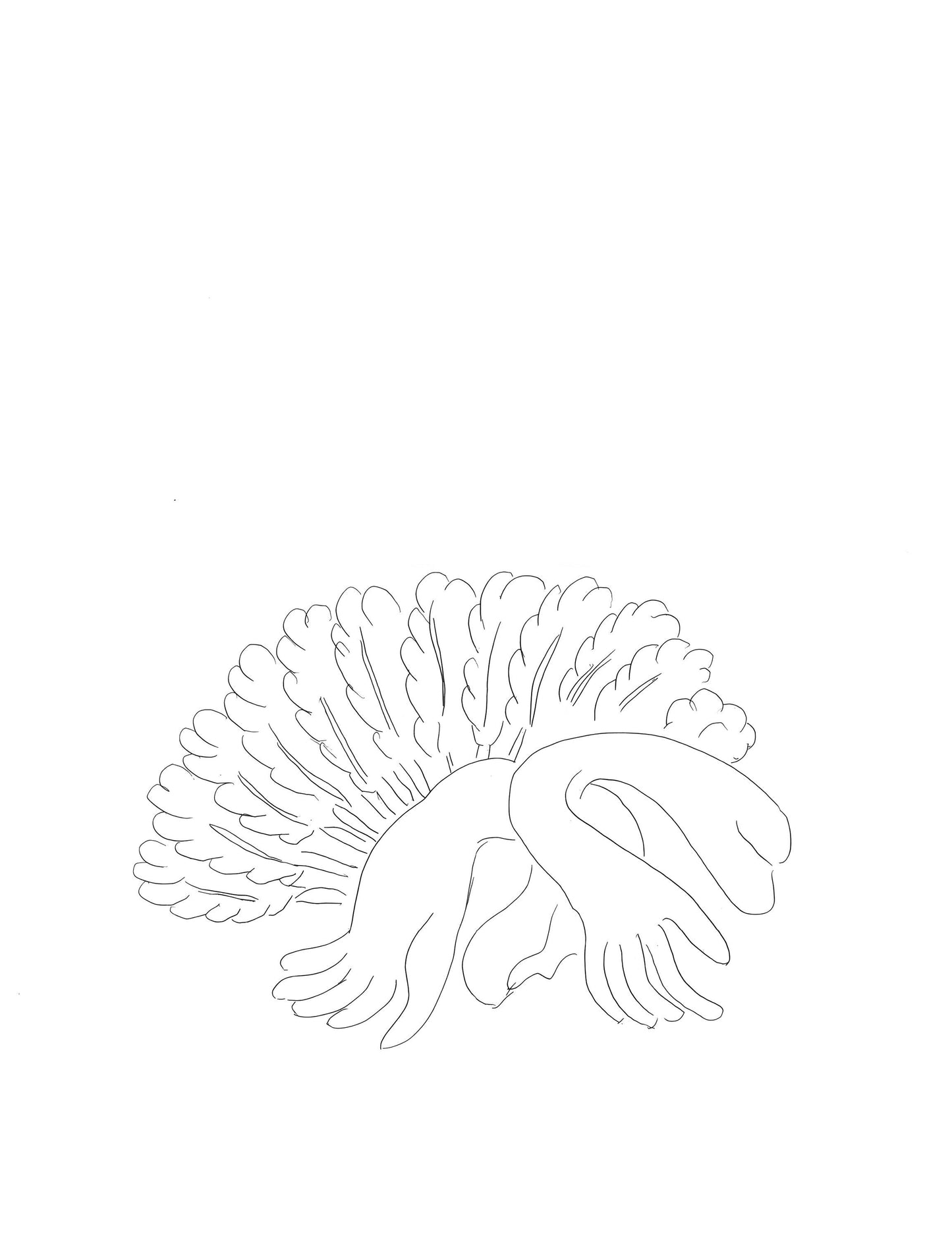 Henri Matisse, Sans Titre, Posies De Stphane Mallarm, Lithograph
