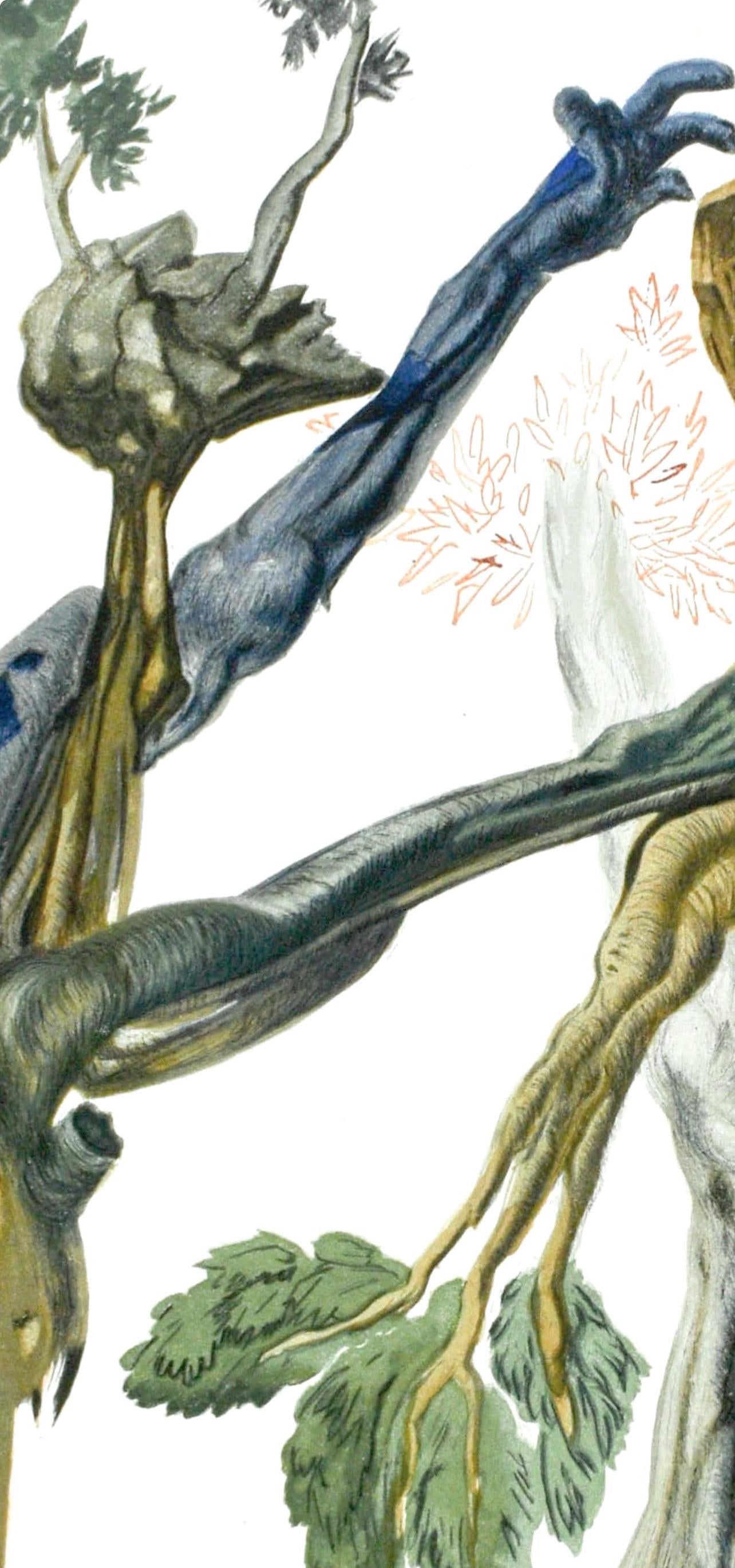 Salvador Dali, Lenfer Xiii (Michler/Lpsinger 1039-1138; Field 189-200), La Divine Comdie, Woodcut