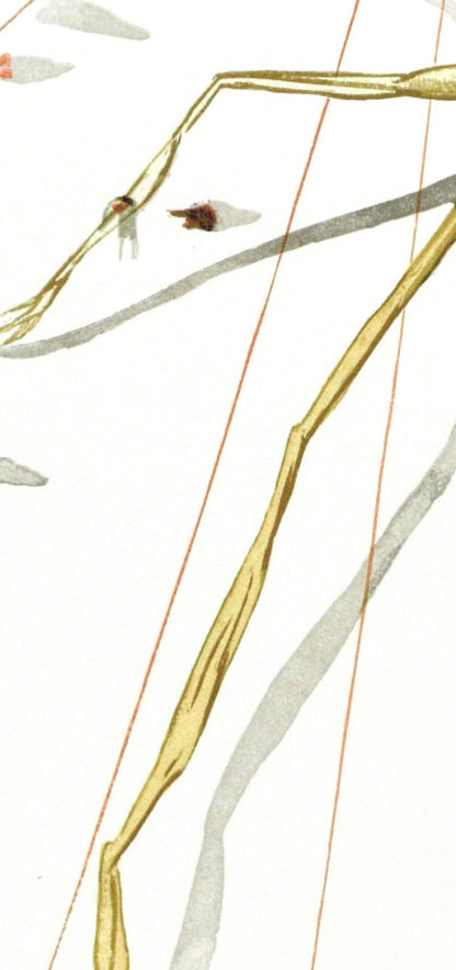 Salvador Dali, Le Purgatoire Xvii (Michler/Lpsinger 1039-1138; Field 189-200), La Divine Comdie,