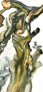 Salvador Dali, Inferno Xiii (Michler/Lpsinger 1039-1138; Field 189-200), La Divina Commedia, Woodcut