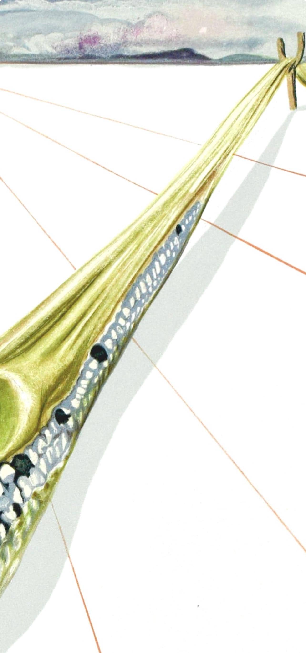 Salvador Dali, Inferno Xiv (Michler/Lpsinger 1039-1138; Field 189-200), La Divina Commedia, Woodcut