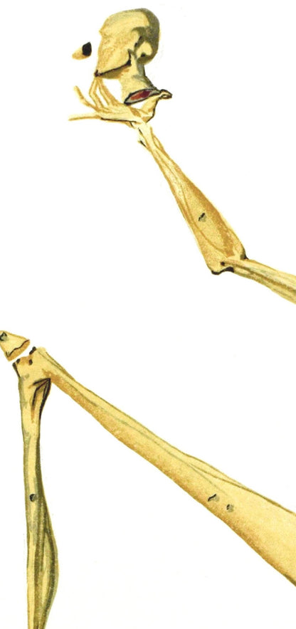 Salvador Dali, Inferno Xxviii (Michler/Lpsinger 1039-1138; Field 189-200), La Divina Commedia,