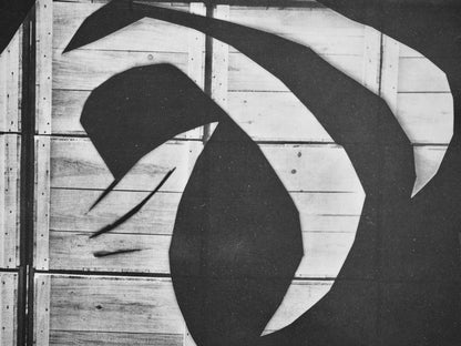 Pablo Picasso, Andr Villers, La Chvre La Caisse D'Emballage (C. 115), Diurnes, Dcoupages Et