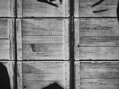 Pablo Picasso, Andr Villers, La Chvre La Caisse D'Emballage (C. 115), Diurnes, Dcoupages Et