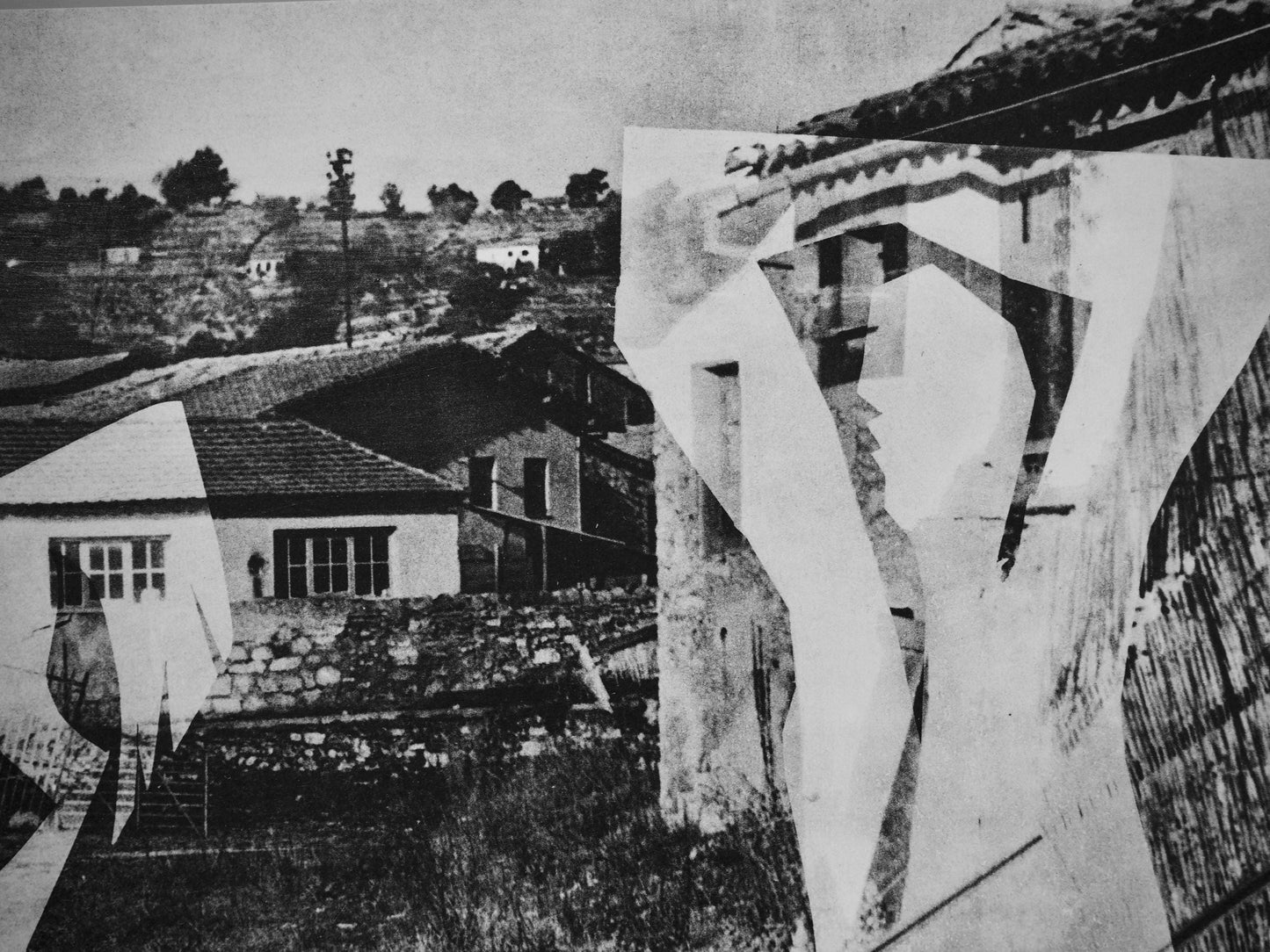 Pablo Picasso, Andr Villers, L'Homme Aux Chats Ii (Cramer 115), Diurnes, Dcoupages Et