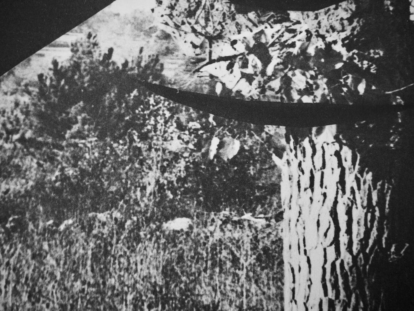 Pablo Picasso, Andr Villers, Le Corrigan Effeuill (Cramer 115), Diurnes, Dcoupages Et