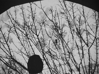 Pablo Picasso, Andr Villers, Le Corrigan Effeuill (Cramer 115), Diurnes, Dcoupages Et