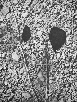 Pablo Picasso, Andr Villers, Nunc (Cramer 115), Diurnes, Dcoupages Et Photographies, Lithograph