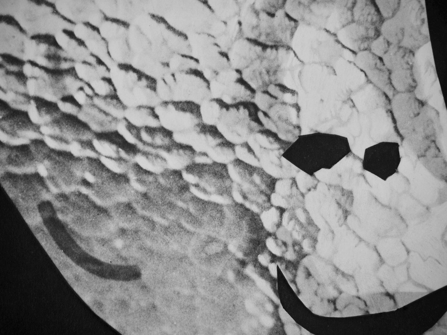 Pablo Picasso, Andr Villers, Urbi (Cramer 115), Diurnes, Dcoupages Et Photographies, Lithograph