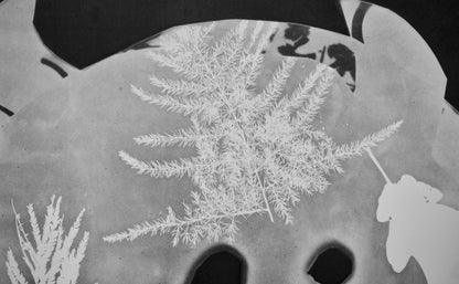 Pablo Picasso, Andr Villers, Torbi (Cramer 115), Diurnes, Dcoupages Et Photographies, Lithograph