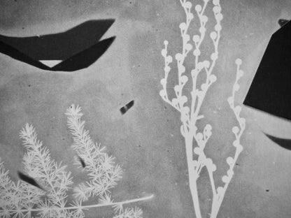 Pablo Picasso, Andr Villers, Torbi (Cramer 115), Diurnes, Dcoupages Et Photographies, Lithograph