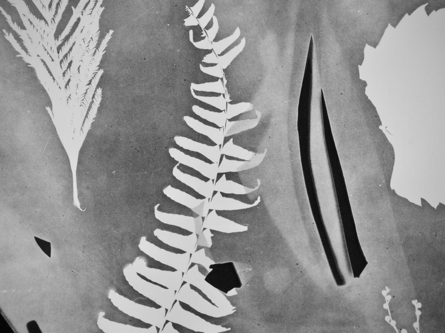 Pablo Picasso, Andr Villers, Torbi (Cramer 115), Diurnes, Dcoupages Et Photographies, Lithograph