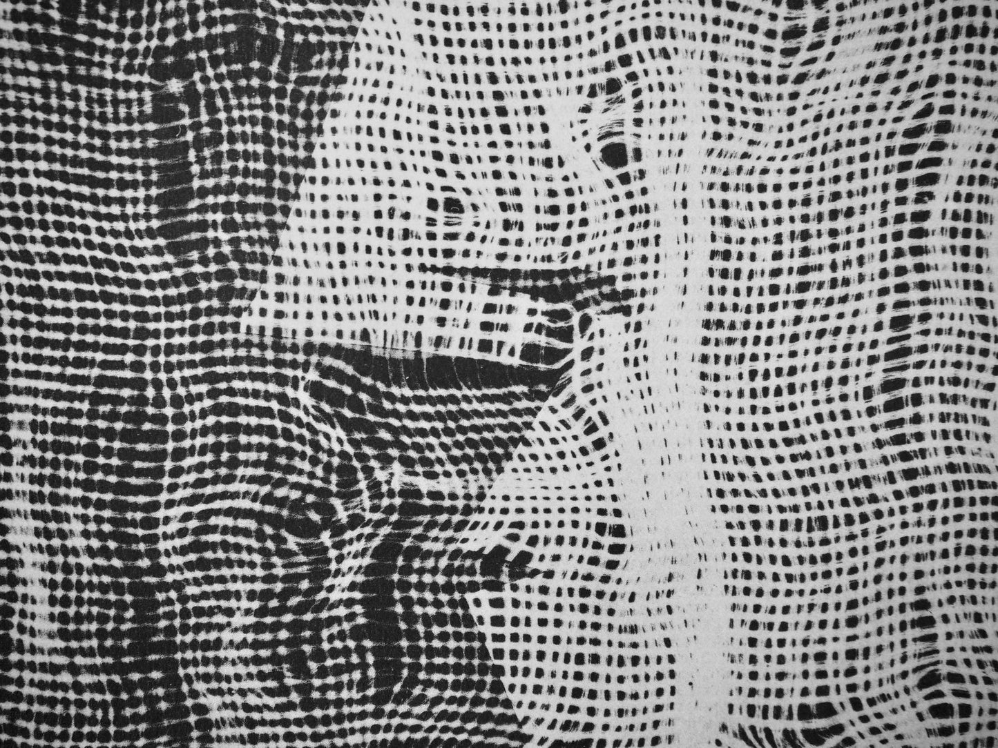 Pablo Picasso, Andr Villers, Jacqueline L'Tamine (Cramer 115), Diurnes, Dcoupages Et Photographies,