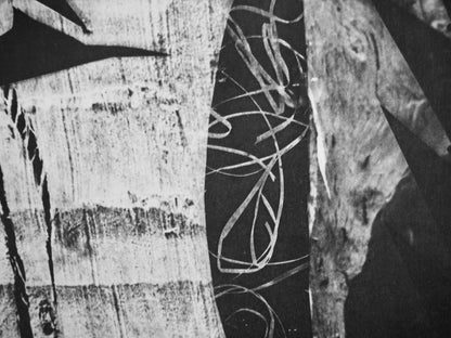 Pablo Picasso, Andr Villers, Jacqueline Au Regard D'Oiseau (Cramer 115), Diurnes, Dcoupages Et