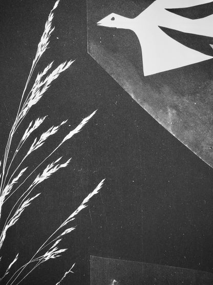 Pablo Picasso, Andr Villers, L'Homme L'Oiseau (Cramer 115), Diurnes, Dcoupages Et Photographies,