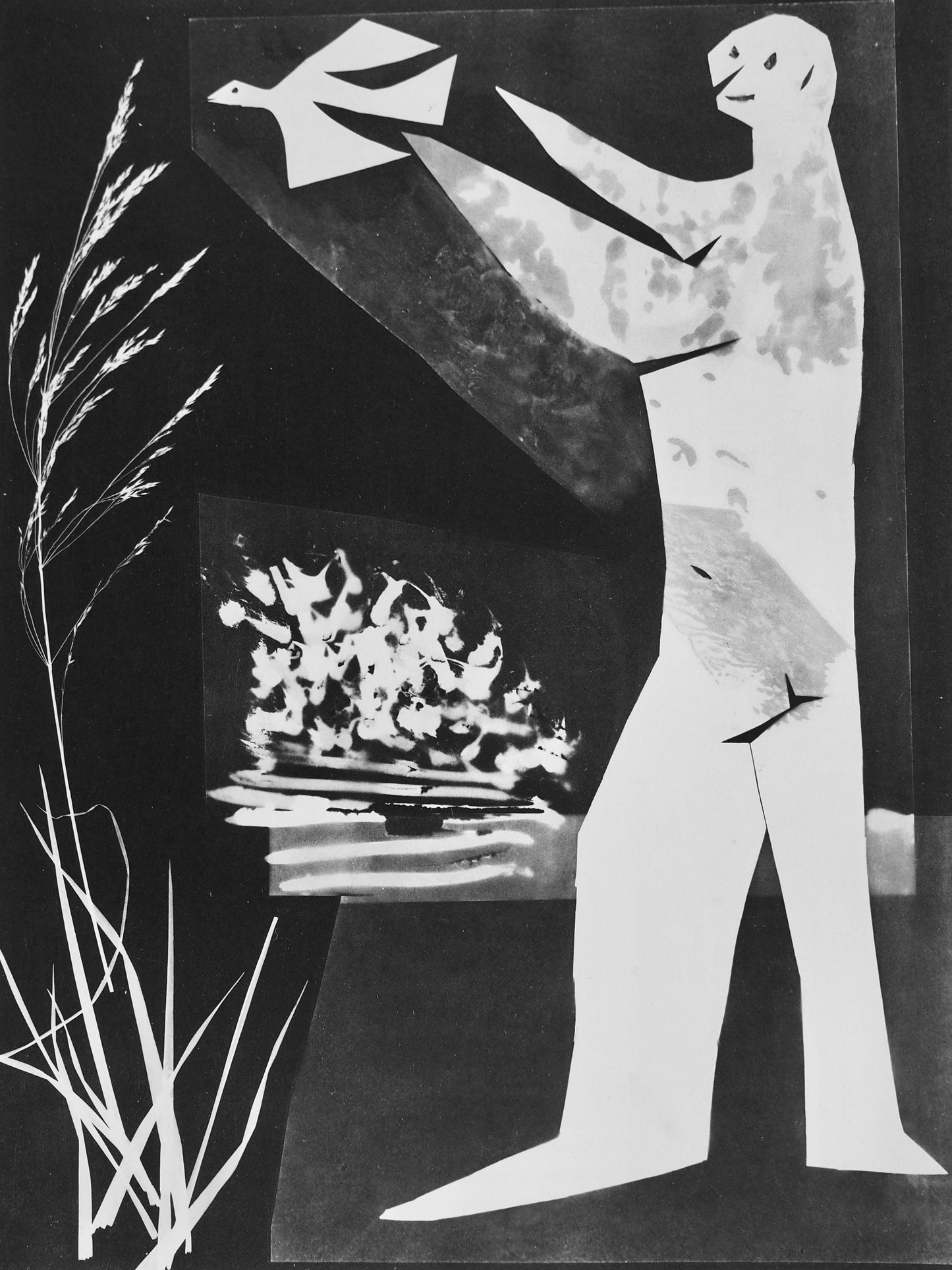 Pablo Picasso, Andr Villers, L'Homme L'Oiseau (Cramer 115), Diurnes, Dcoupages Et Photographies,