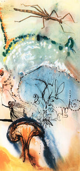 Salvador Dali, Down The Rabbit Hole (Field 69-5, A-M), Alice'S Adventures In Wonderland, Hliogravure