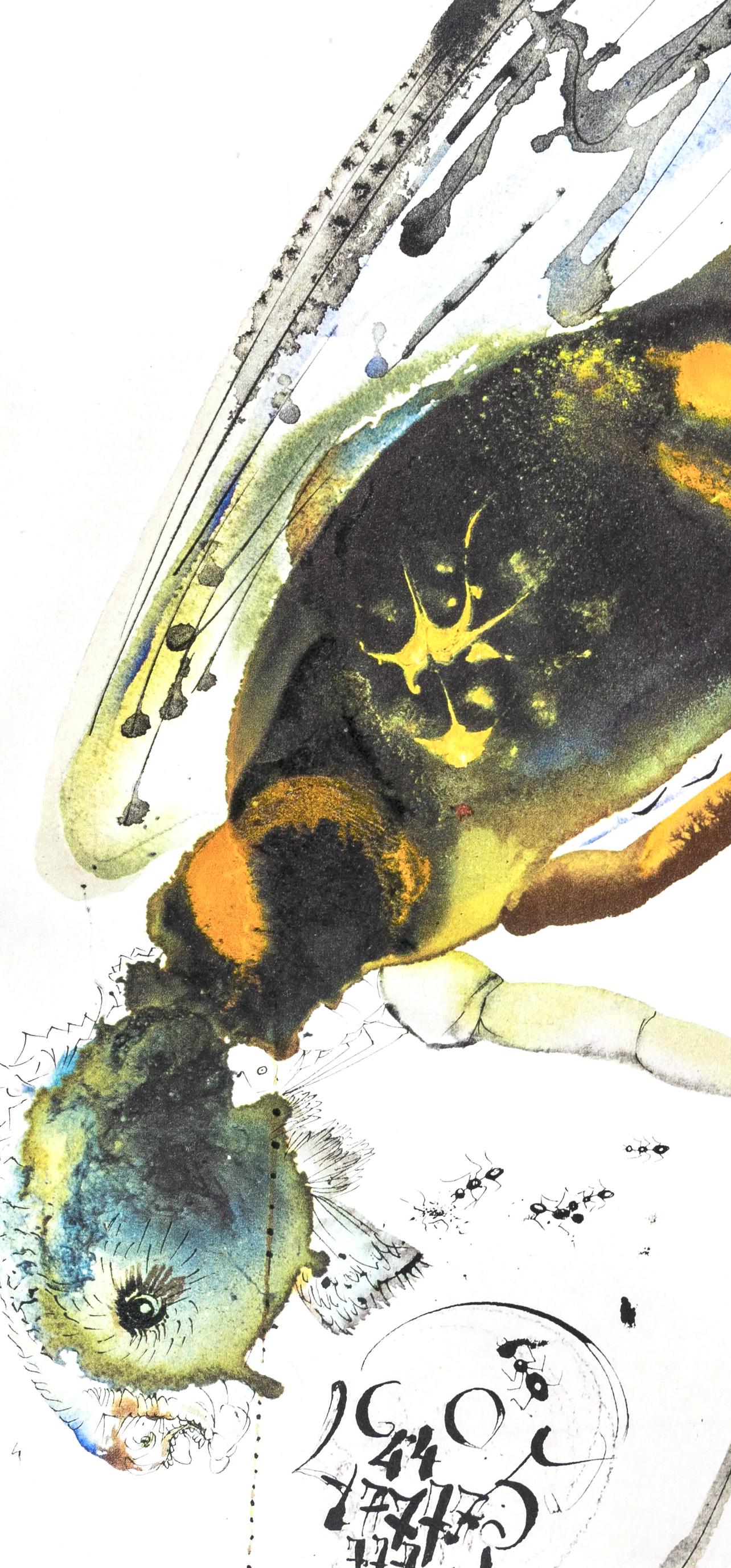 Salvador Dali, Composition (Michler/Lpsinger 1600; Field 69-3), Biblia Sacra, Lithograph