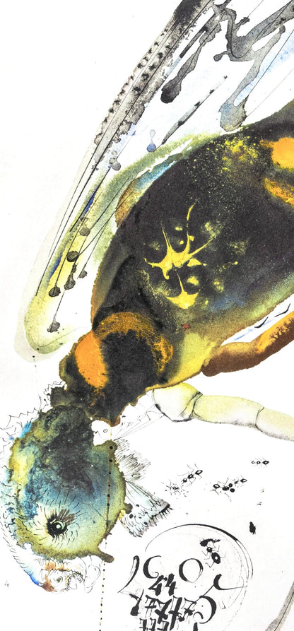 Salvador Dali, Composition (Michler/Lpsinger 1600; Field 69-3), Biblia Sacra, Lithograph