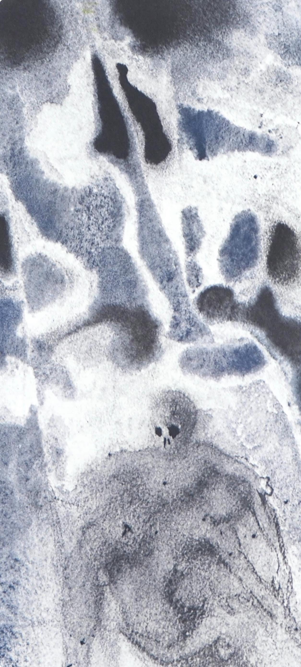 Salvador Dali, Composition (Michler/Lpsinger 1600; Field 69-3), Biblia Sacra, Lithograph