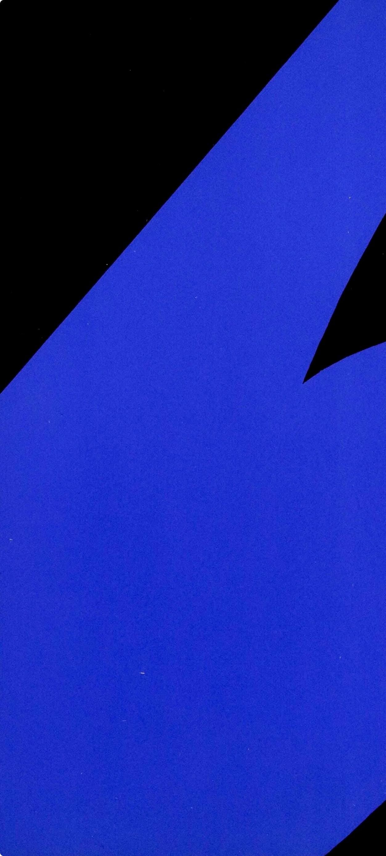 Ellsworth Kelly, Composition (Axsom Ia), Derrire Le Miroir, Lithograph