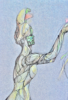 Lonor Fini, Composition, Fruits De La Passion, Xxe Sicle, Hliogravure