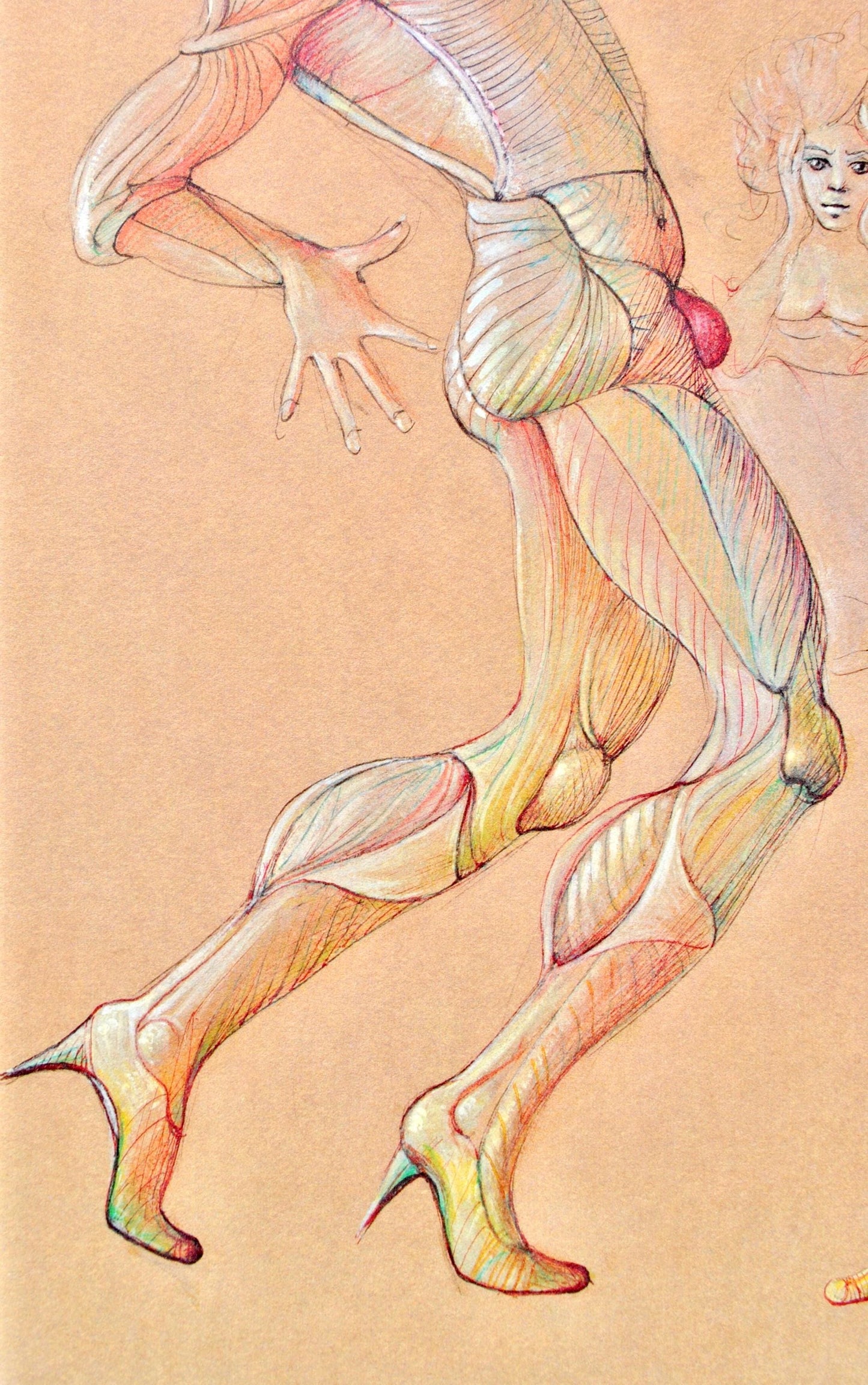 Lonor Fini, Composition, Fruits De La Passion, Xxe Sicle, Hliogravure