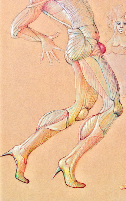 Lonor Fini, Composition, Fruits De La Passion, Xxe Sicle, Hliogravure