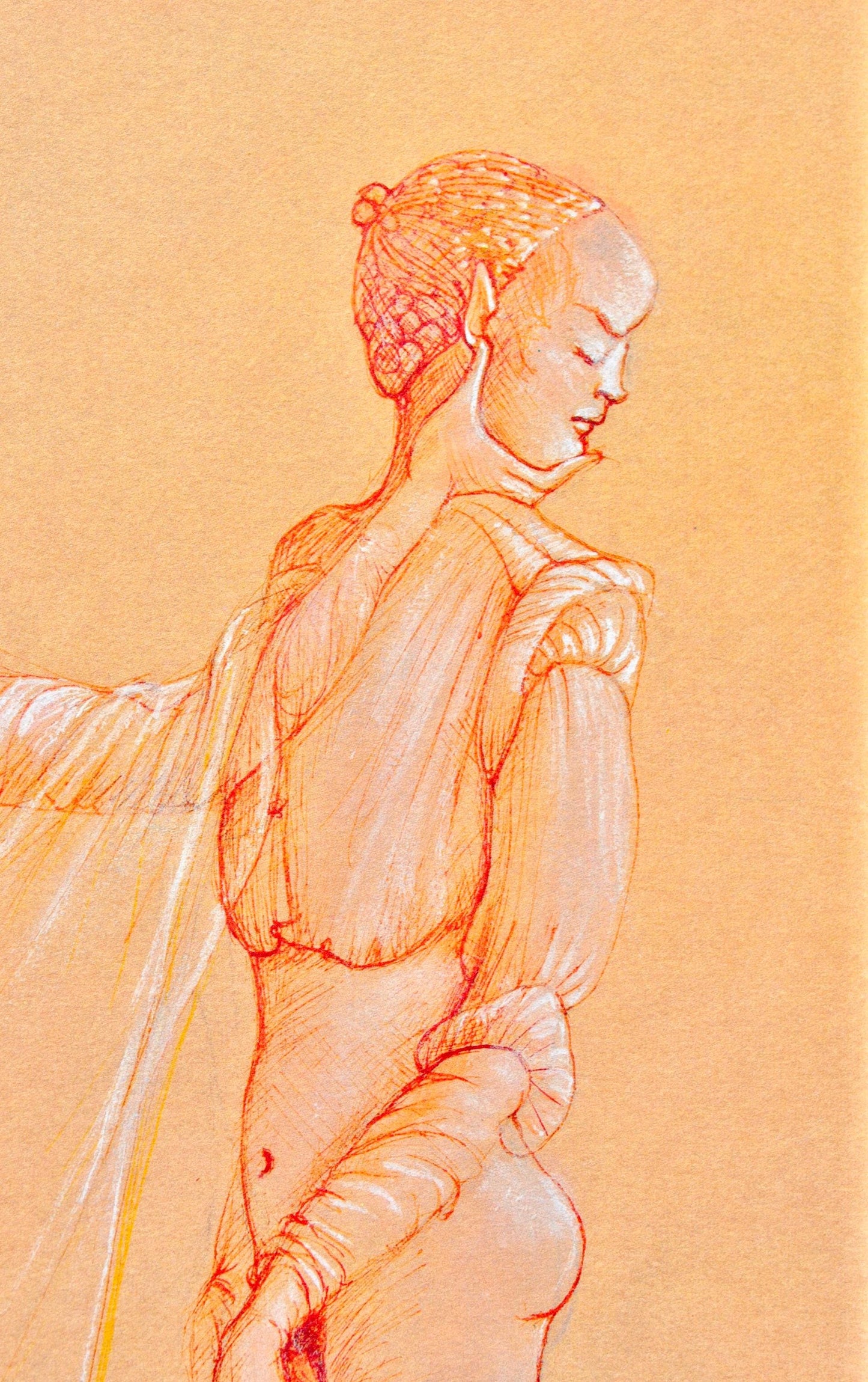 Lonor Fini, Composition, Fruits De La Passion, Xxe Sicle, Hliogravure