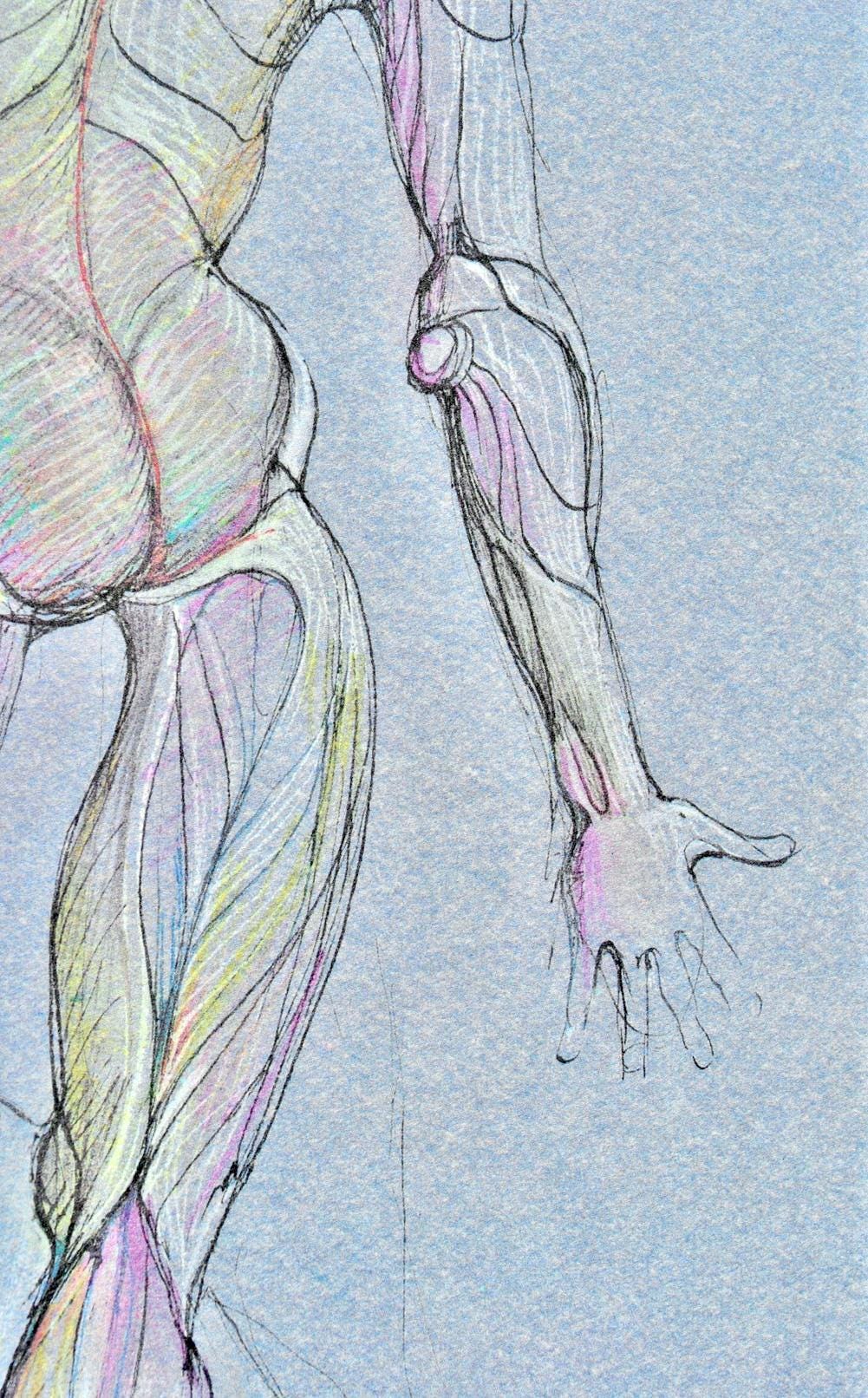 Lonor Fini, Composition, Fruits De La Passion, Xxe Sicle, Hliogravure