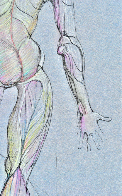 Lonor Fini, Composition, Fruits De La Passion, Xxe Sicle, Hliogravure