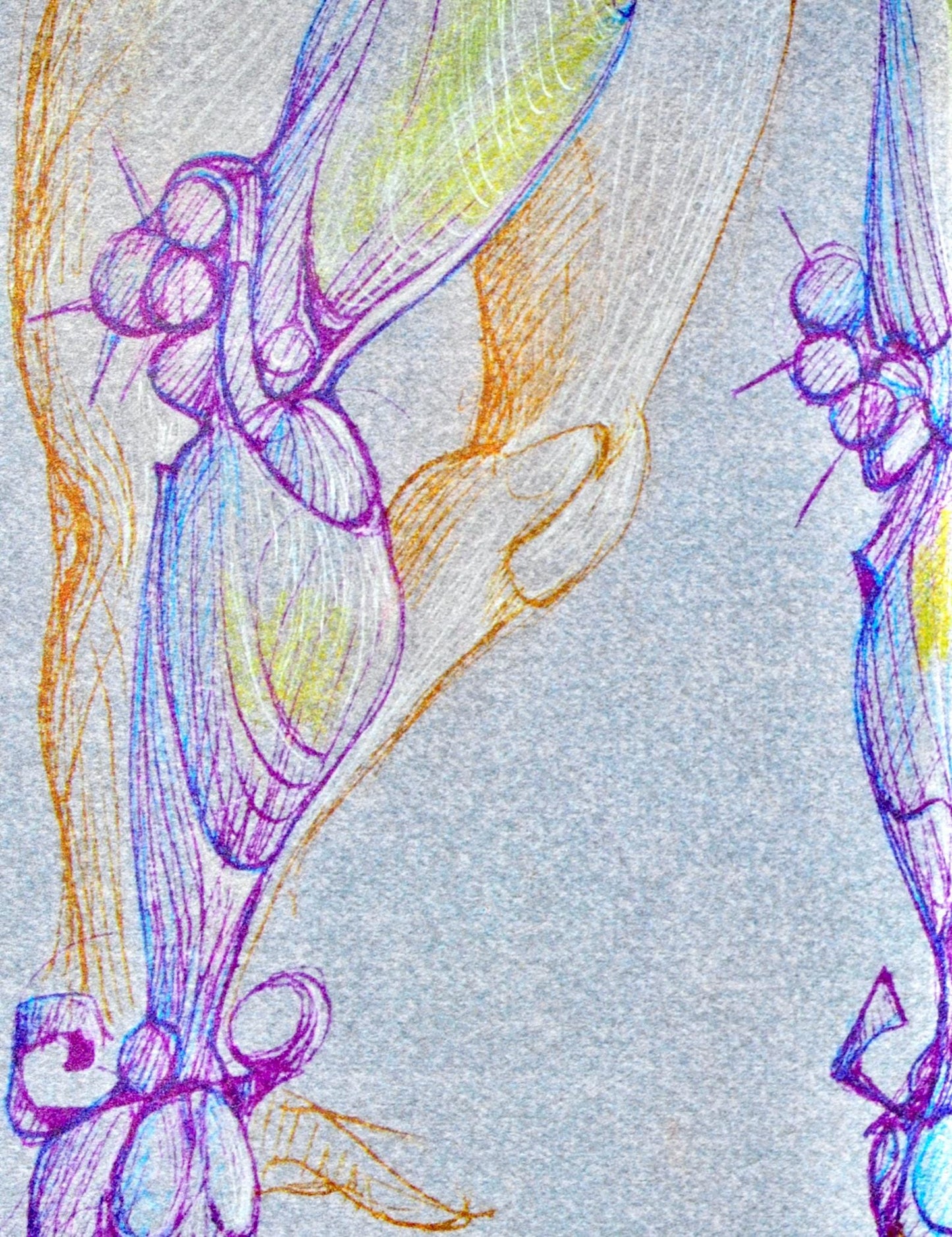 Lonor Fini, Composition, Fruits De La Passion, Xxe Sicle, Hliogravure