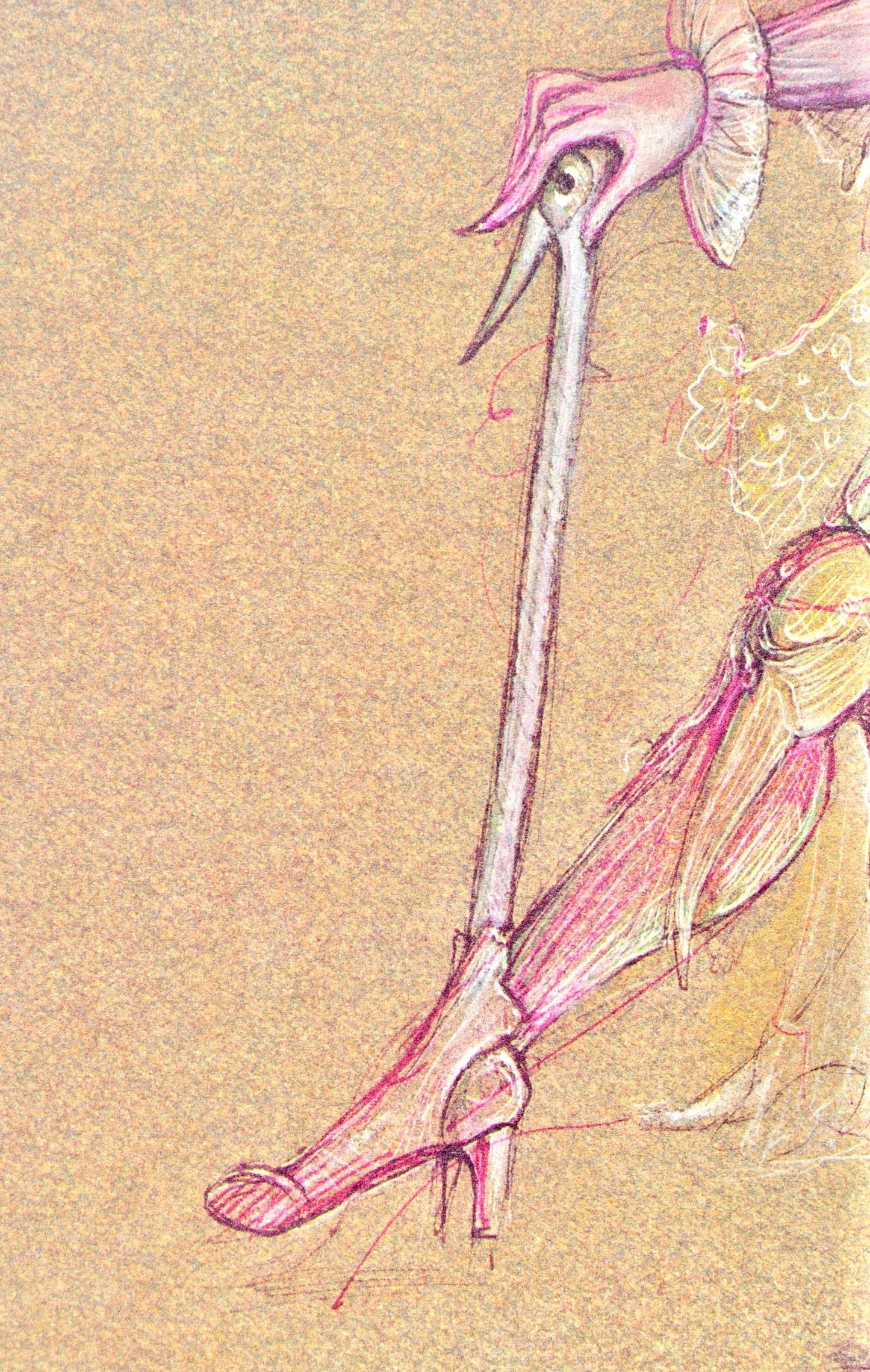 Lonor Fini, Composition, Fruits De La Passion, Xxe Sicle, Hliogravure