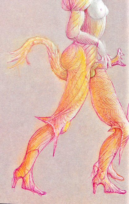 Lonor Fini, Composition, Fruits De La Passion, Xxe Sicle, Hliogravure