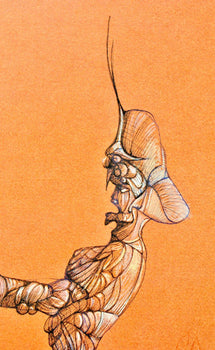 Lonor Fini, Composition, Fruits De La Passion, Xxe Sicle, Hliogravure