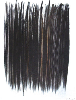 Hans Hartung, P. 1960-76, Hans Hartung, Peintres D'Aujourd'Hui, Hliogravure