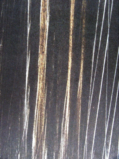 Hans Hartung, P. 1960-76, Hans Hartung, Peintres D'Aujourd'Hui, Hliogravure