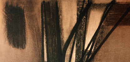 Hans Hartung, P. 1958-10, Hans Hartung, Peintres D'Aujourd'Hui, Hliogravure
