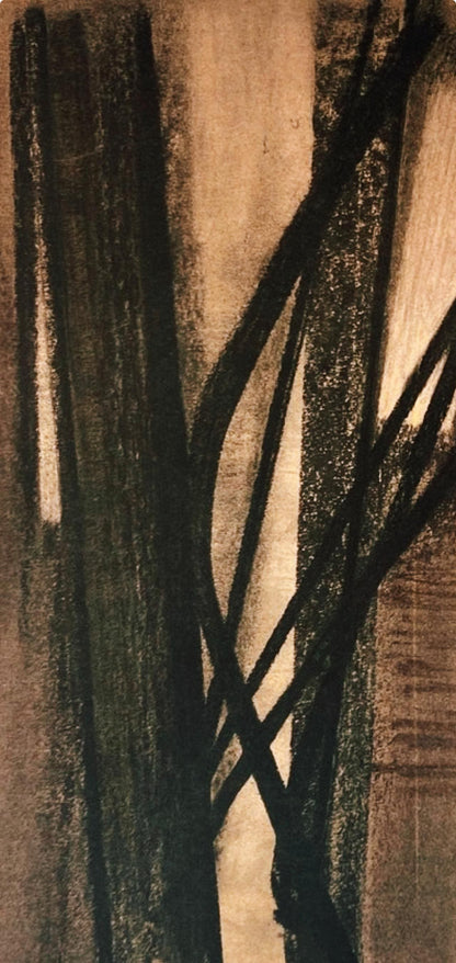 Hans Hartung, P. 1958-10, Hans Hartung, Peintres D'Aujourd'Hui, Hliogravure