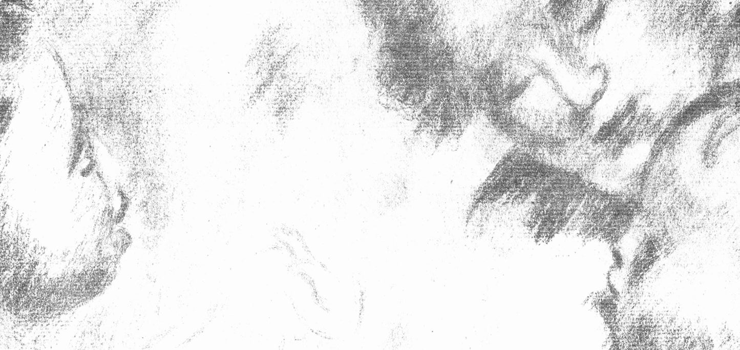 Pierre-Auguste Renoir, Mere Et Enfants, Les Lithographies De Renoir, Lithograph