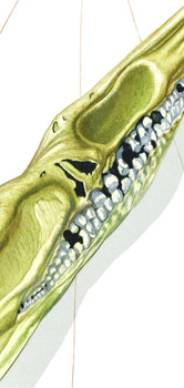 Salvador Dali, Lenfer Xiv (Michler/Lpsinger 1039-1138; Field 189-200), La Divine Comdie, Woodcut