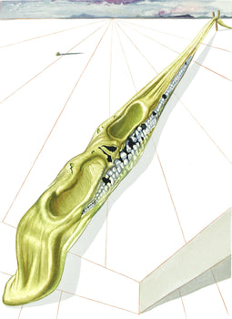 Salvador Dali, Lenfer Xiv (Michler/Lpsinger 1039-1138; Field 189-200), La Divine Comdie, Woodcut