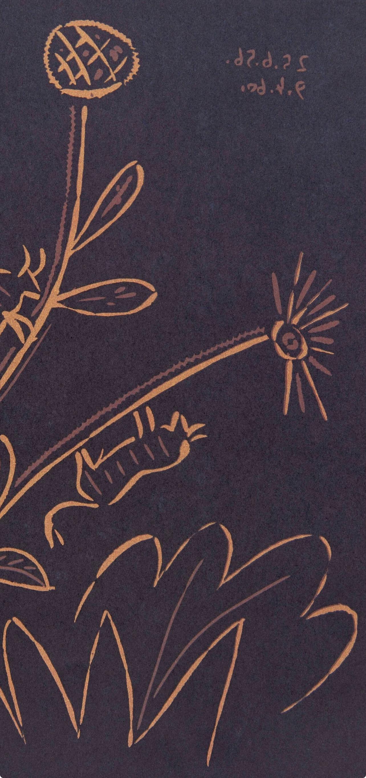 Pablo Picasso, Plante Aux Toritos (Orozco 214), Grabados Al Linleo, Linocut