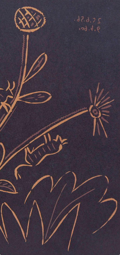 Pablo Picasso, Plante Aux Toritos (Orozco 214), Grabados Al Linleo, Linocut