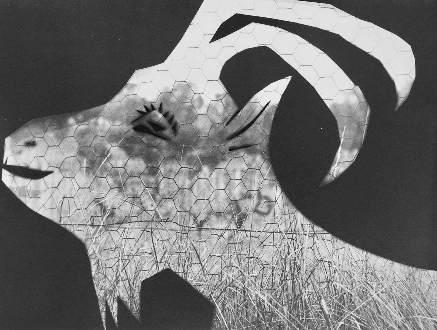 Pablo Picasso, Andr Villers, La Chvre Au Grillage (Cramer 115), Diurnes, Dcoupages Et