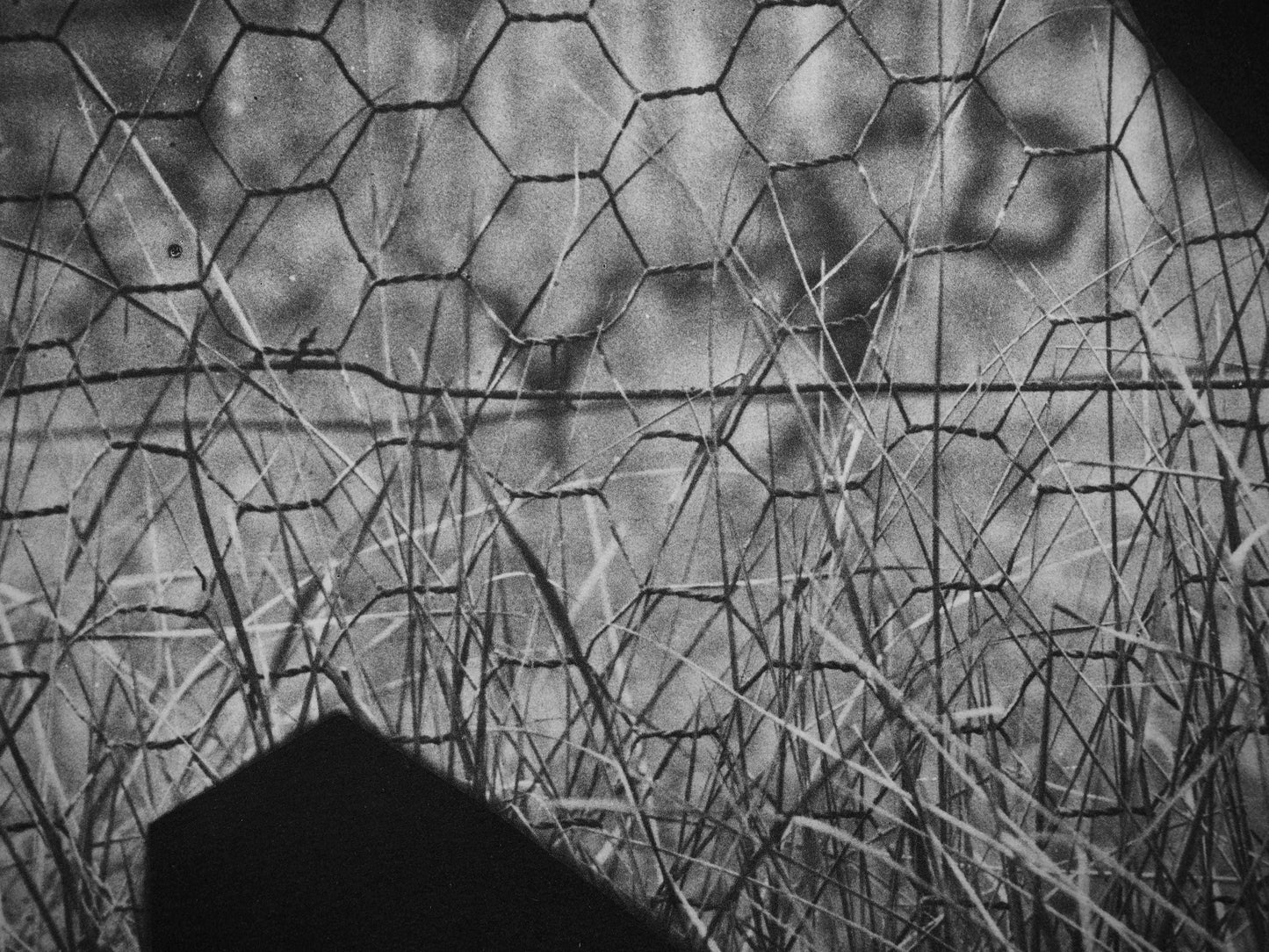 Pablo Picasso, Andr Villers, La Chvre Au Grillage (Cramer 115), Diurnes, Dcoupages Et