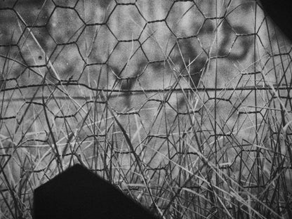 Pablo Picasso, Andr Villers, La Chvre Au Grillage (Cramer 115), Diurnes, Dcoupages Et