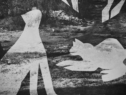 Pablo Picasso, Andr Villers, L'Homme Aux Chats Ii (Cramer 115), Diurnes, Dcoupages Et