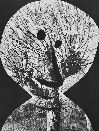 Pablo Picasso, Andr Villers, Le Corrigan Effeuill (Cramer 115), Diurnes, Dcoupages Et