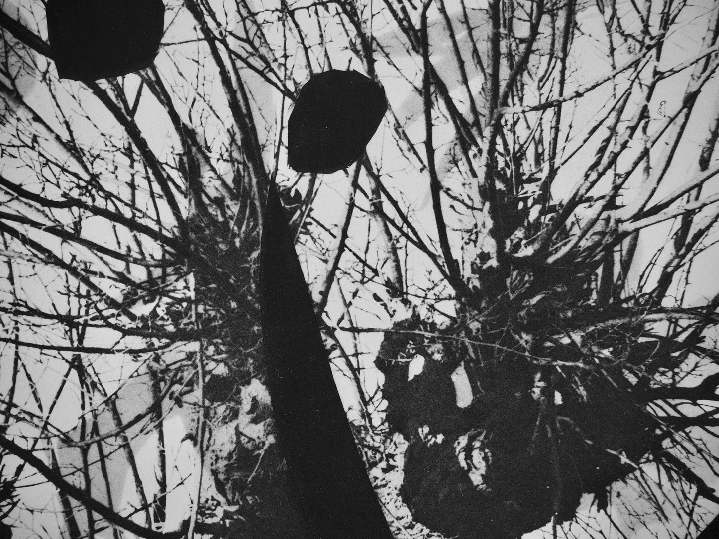 Pablo Picasso, Andr Villers, Le Corrigan Effeuill (Cramer 115), Diurnes, Dcoupages Et